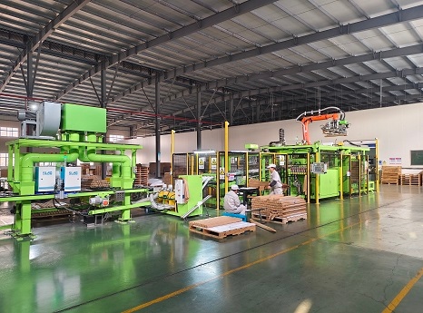 Auto Packing and Palletizing Machine